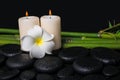 Spa concept of zen basalt stones, white flower frangipani Royalty Free Stock Photo