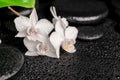 Spa concept of zen massaging stones, white orchid
