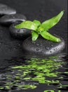 Spa-concept with zen stones and bamboo Royalty Free Stock Photo