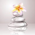 Zen stones and frangipani flower