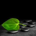 Spa concept of zen stones and green leaf on black background Royalty Free Stock Photo