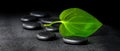 Spa concept of zen stones and green leaf on black background wit Royalty Free Stock Photo