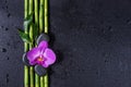 Spa concept with zen stones, orchid flower and bamboo Royalty Free Stock Photo