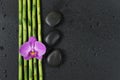 Spa concept with zen stones, orchid flower and bamboo Royalty Free Stock Photo