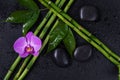 Spa concept with zen stones, orchid flower and bamboo Royalty Free Stock Photo