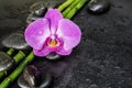 Spa concept with zen stones, orchid flower and bamboo Royalty Free Stock Photo