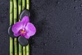 Spa concept with zen stones, orchid flower and bamboo Royalty Free Stock Photo