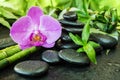 Spa concept with zen stones, orchid flower and bamboo Royalty Free Stock Photo