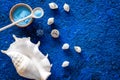 Spa cosmetic set with sea salt for bath and shell on blue background top view mockup Royalty Free Stock Photo