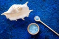 Spa cosmetic set with sea salt for bath and shell on blue background top view mockup Royalty Free Stock Photo