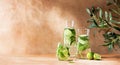 Spa cucumber healthy infused water Royalty Free Stock Photo