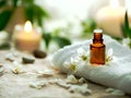 spa environment with rolled white and mint green towels, essential oil and exotic flowers Royalty Free Stock Photo