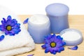 Spa essentials, cream and towel Royalty Free Stock Photo