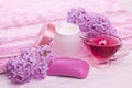 Spa essentials with lilac Royalty Free Stock Photo