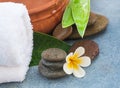 Spa flower with healthy objects with stones for massage