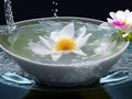 Spa flower in water bowl background for relaxation and meditation Royalty Free Stock Photo