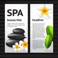 Spa flyer design template Royalty Free Stock Photo