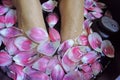 Spa foot massage health woman flower relax therapy asian Royalty Free Stock Photo