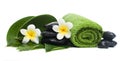 spa green tropical objects for therapy healthy massage Royalty Free Stock Photo