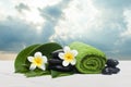 Spa green tropical objects for therapy massage. Royalty Free Stock Photo