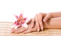 Spa hands Royalty Free Stock Photo