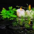 Spa health care of green branch Asparagus, fern and candles on z Royalty Free Stock Photo