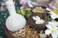 Spa herbal compressing ball with herbs Royalty Free Stock Photo