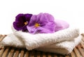 Spa Items Purple