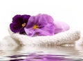 Spa Items Purple