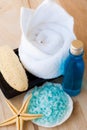 Spa kit; Sea sensation Royalty Free Stock Photo