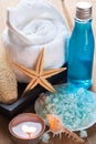 A spa kit; sea sensation Royalty Free Stock Photo