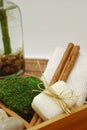 SPA kit for wellness or relaxing Royalty Free Stock Photo