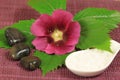 Spa with mallow flower