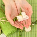 Spa manicure - hands with flower