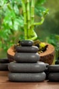 Spa massage - black stones