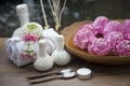 Spa massage compress balls, herbal ball with treaments spa and lotus , Thailand, soft focus Royalty Free Stock Photo