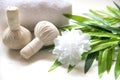 Spa massage compress balls, herbal ball and treatment spa,