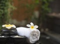 Spa massage with salt, turmeric and aroma, Thailand, select focus