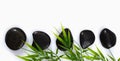 Spa massage stones and bamboo leaves Royalty Free Stock Photo