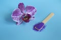 Spa mockup: purple cosmetic spa with sea fiolet salt and purple orchid on blue background.