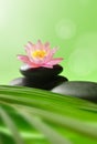 Spa Natural Alternative Therapy With Massage Stones And Waterlily Royalty Free Stock Photo