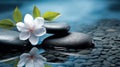 Spa - Natural Alternative Therapy With Massage Stones And Waterlily In Water Royalty Free Stock Photo