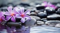 Spa - Natural Alternative Therapy With Massage Stones And Waterlily In Water. Royalty Free Stock Photo