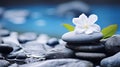 Spa - Natural Alternative Therapy With Massage Stones And Waterlily In Water Royalty Free Stock Photo