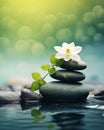 Spa - Natural Alternative Therapy With Massage Stones And Waterlily In Water. Royalty Free Stock Photo