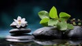 Spa - Natural Alternative Therapy With Massage Stones And Waterlily In Water. Royalty Free Stock Photo