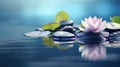 Spa - Natural Alternative Therapy With Massage Stones And Waterlily In Water. Royalty Free Stock Photo