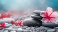Spa - Natural Alternative Therapy With Massage Stones And Waterlily In Water. Royalty Free Stock Photo