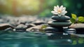 Spa - Natural Alternative Therapy With Massage Stones And Waterlily In Water. Royalty Free Stock Photo