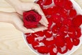 Spa Natural Hand Care with Red Roses Wood Background